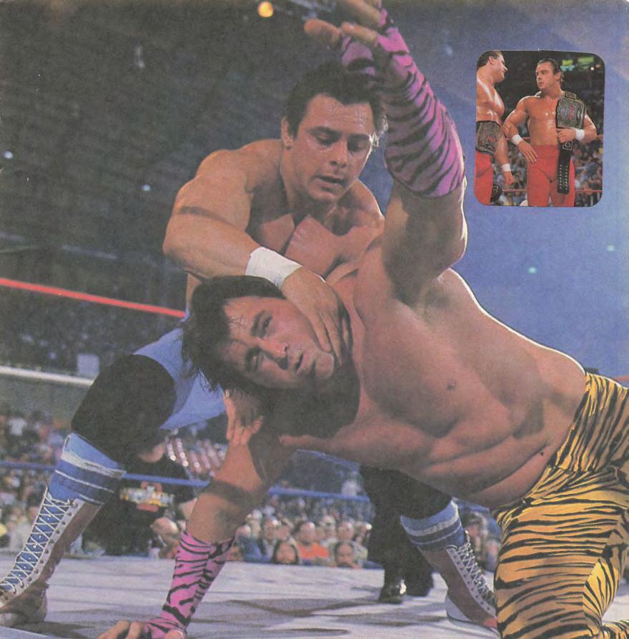 1986 guide to wwf wrestling superstars Magazine Pwcatalog