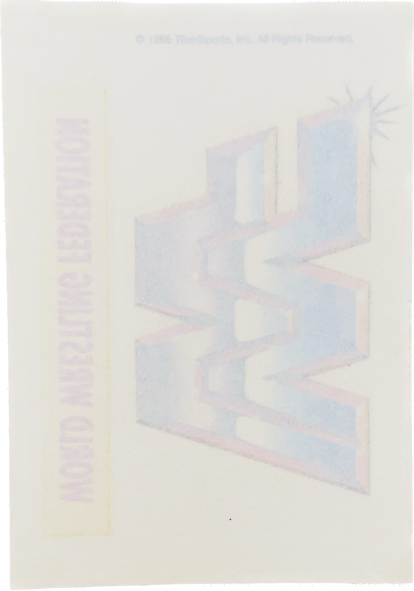 WWF Tattoos 1995 WWF Logo from Germany Pwcatalog