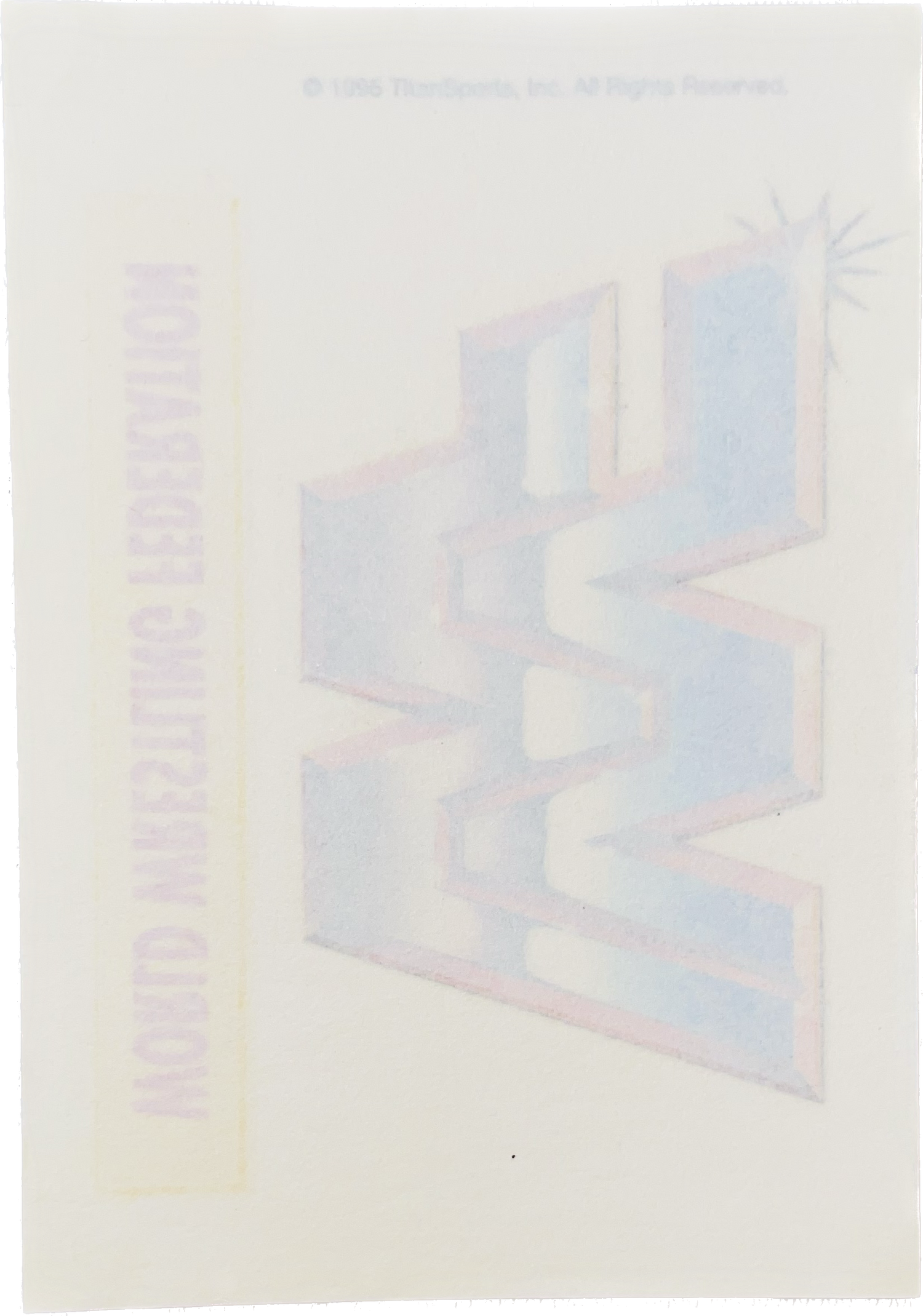 WWF Tattoos 1995 WWF Logo from Germany Pwcatalog