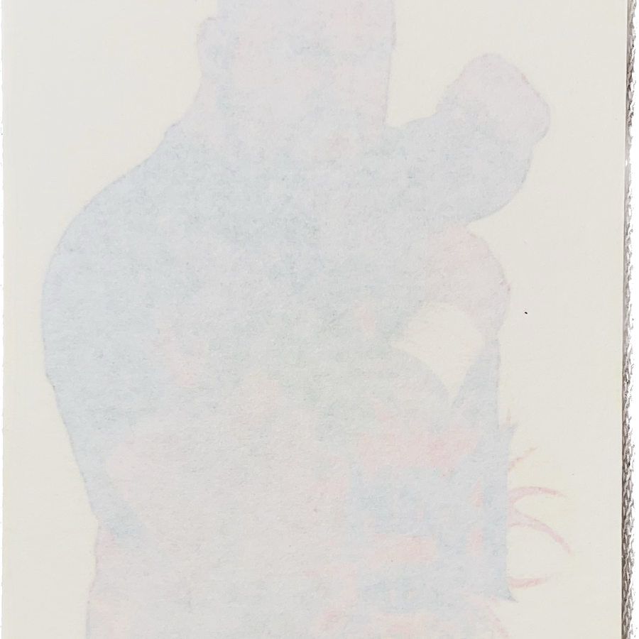 WWF Tattoos 1995 Bam Bam Bigelow from Germany Pwcatalog