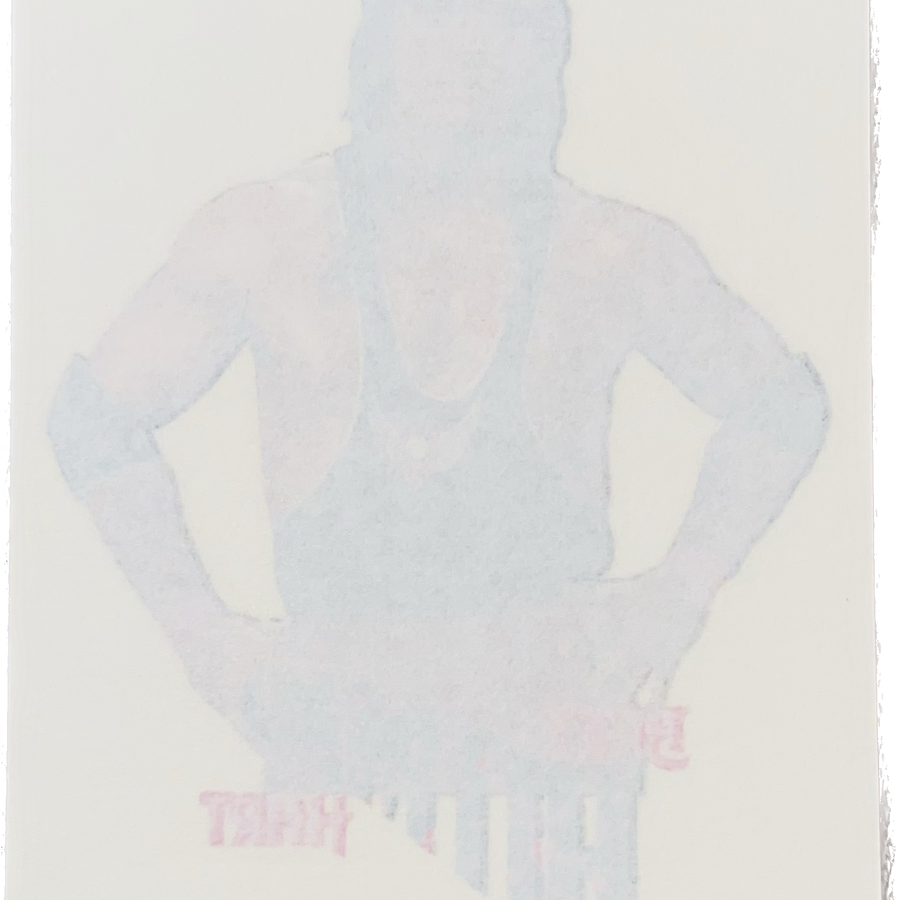 WWF Tattoos 1995 Bret Hart from Germany Pwcatalog