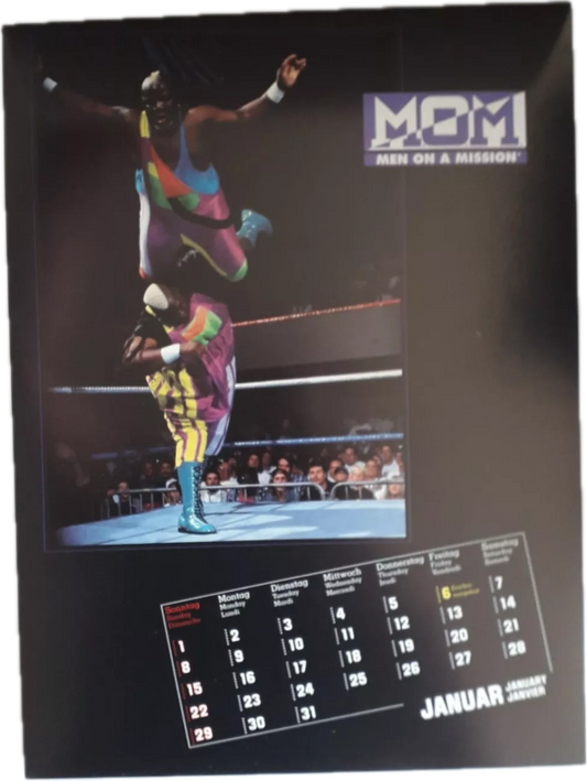 WWF Superstars in Action 1995 Calendar from Germany