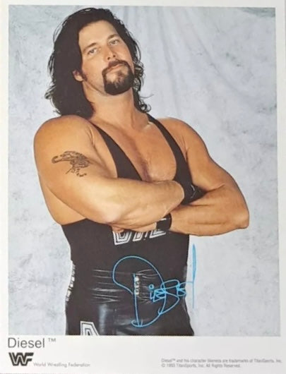 WWF Extra Magazine #8 July 1995 from Germany - image 2