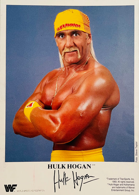 WWF Extra Magazine #1 July 1993 from Germany - image 2