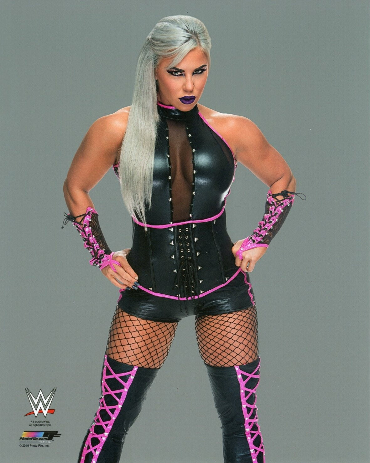 Dana Brooke WWE Photofile 8x10' Photo Wrestling Memorabilia PW Catalog