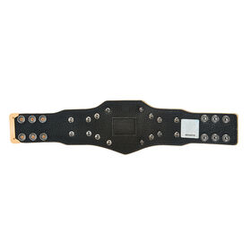 WWE Championship Connor's Cure Mini Replica Title