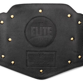 Elite Series WWE Championship Replica Title