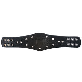 WWE Championship Spinner Mini Replica Title