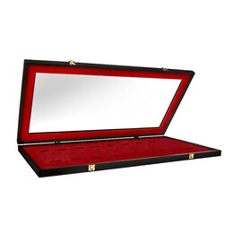 WWE Mini Replica Title Collector Case