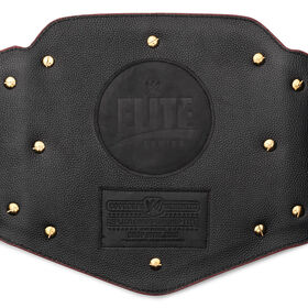 Elite Series Universal Championship Replica Title