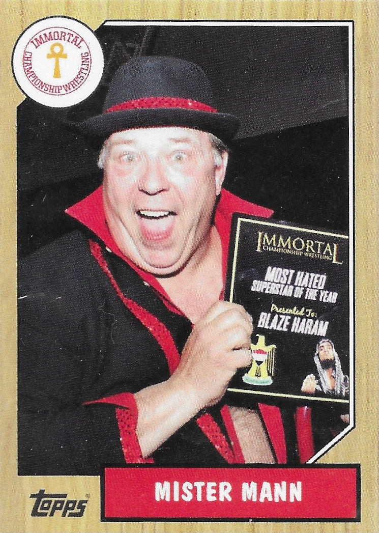 Mister Mann