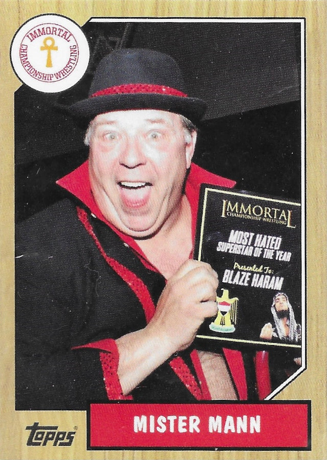 Mister Mann