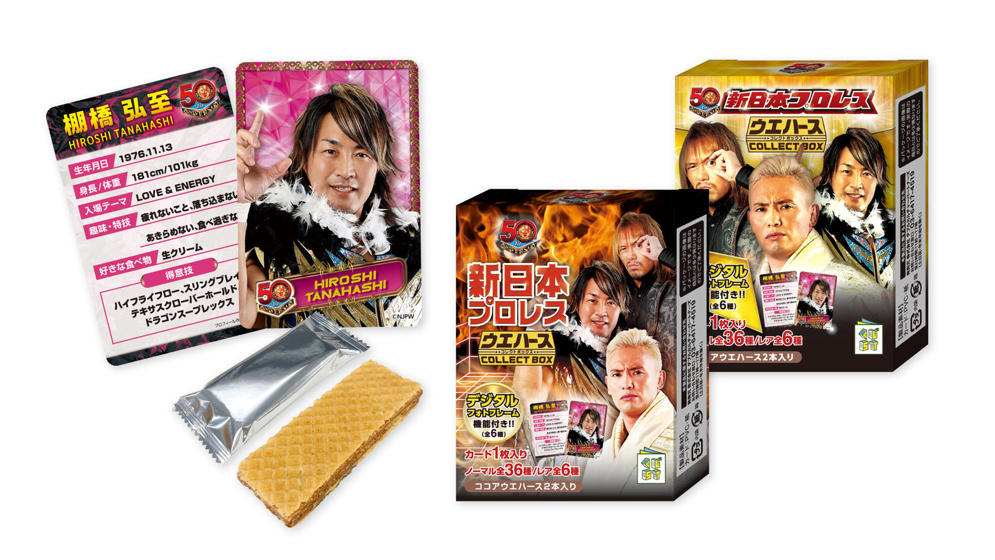 Taiji Ishimori