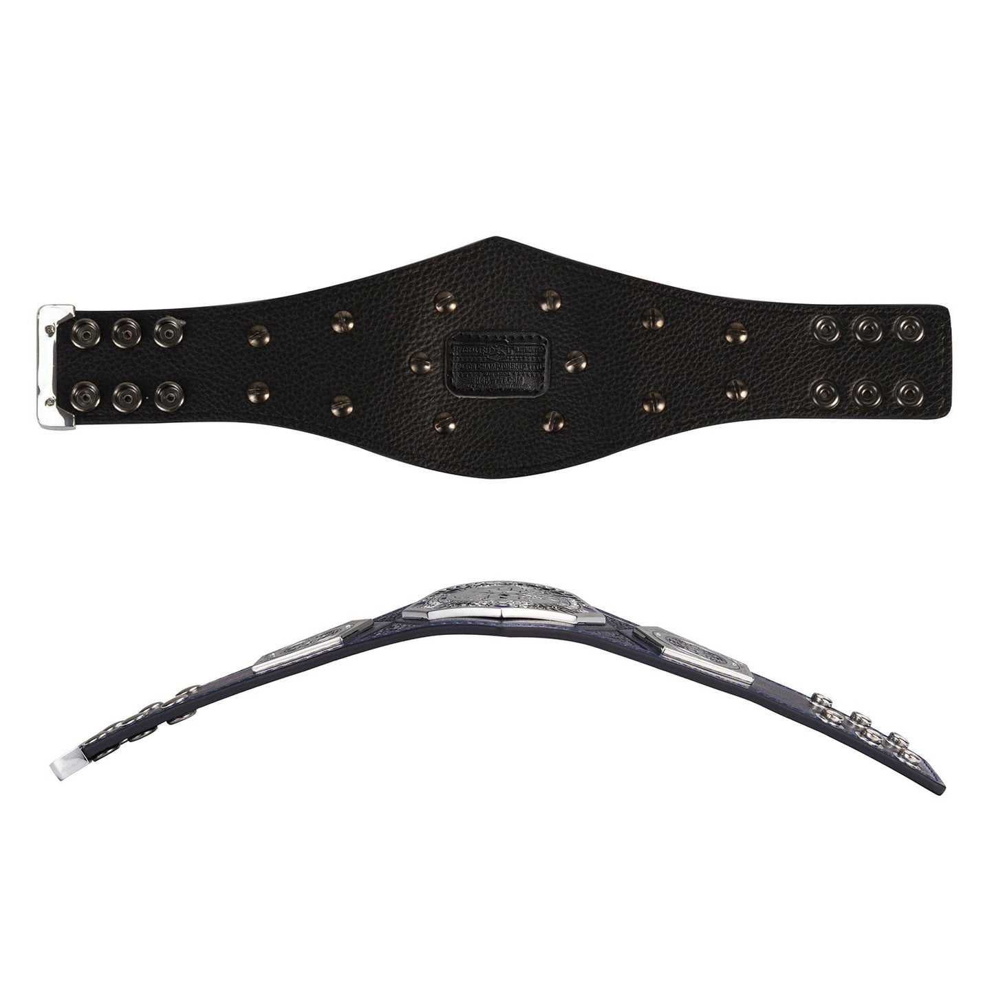 NXT Cruiserweight Championship Mini Replica Title