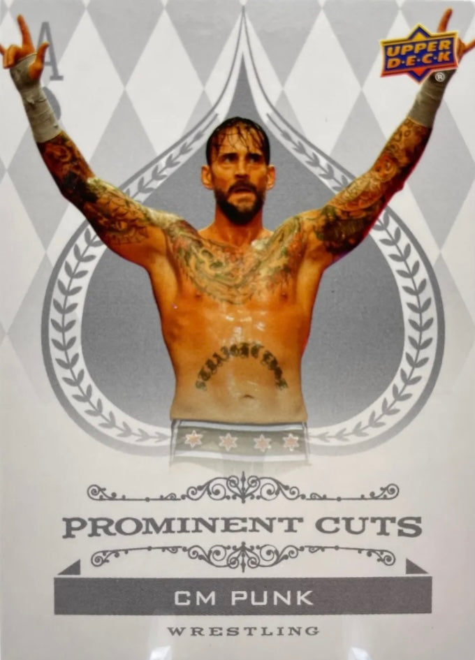 CM Punk