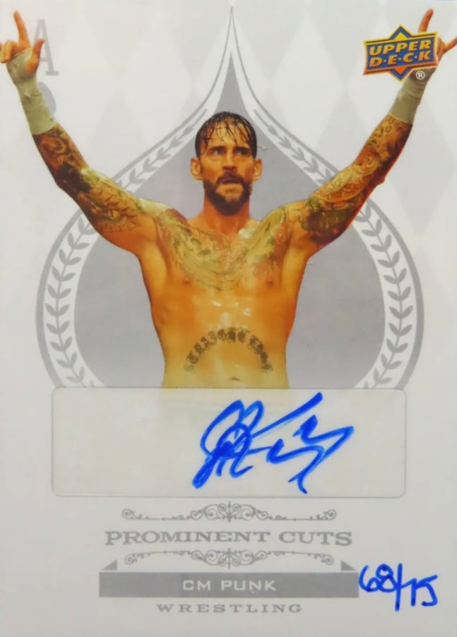CM Punk