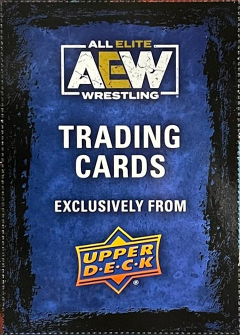AEW Title Card