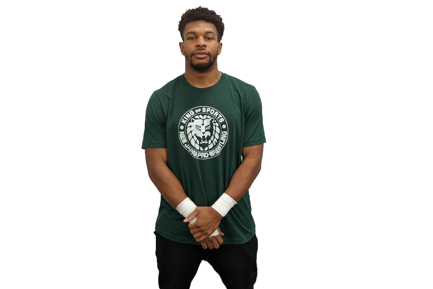 Choose your own color Lion Mark T-Shirt (White Logo) T-Shirt PW Catalog