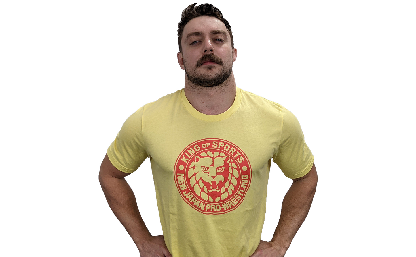 Choose your own color Lion Mark T-Shirt (Red Logo) T-Shirt PW Catalog