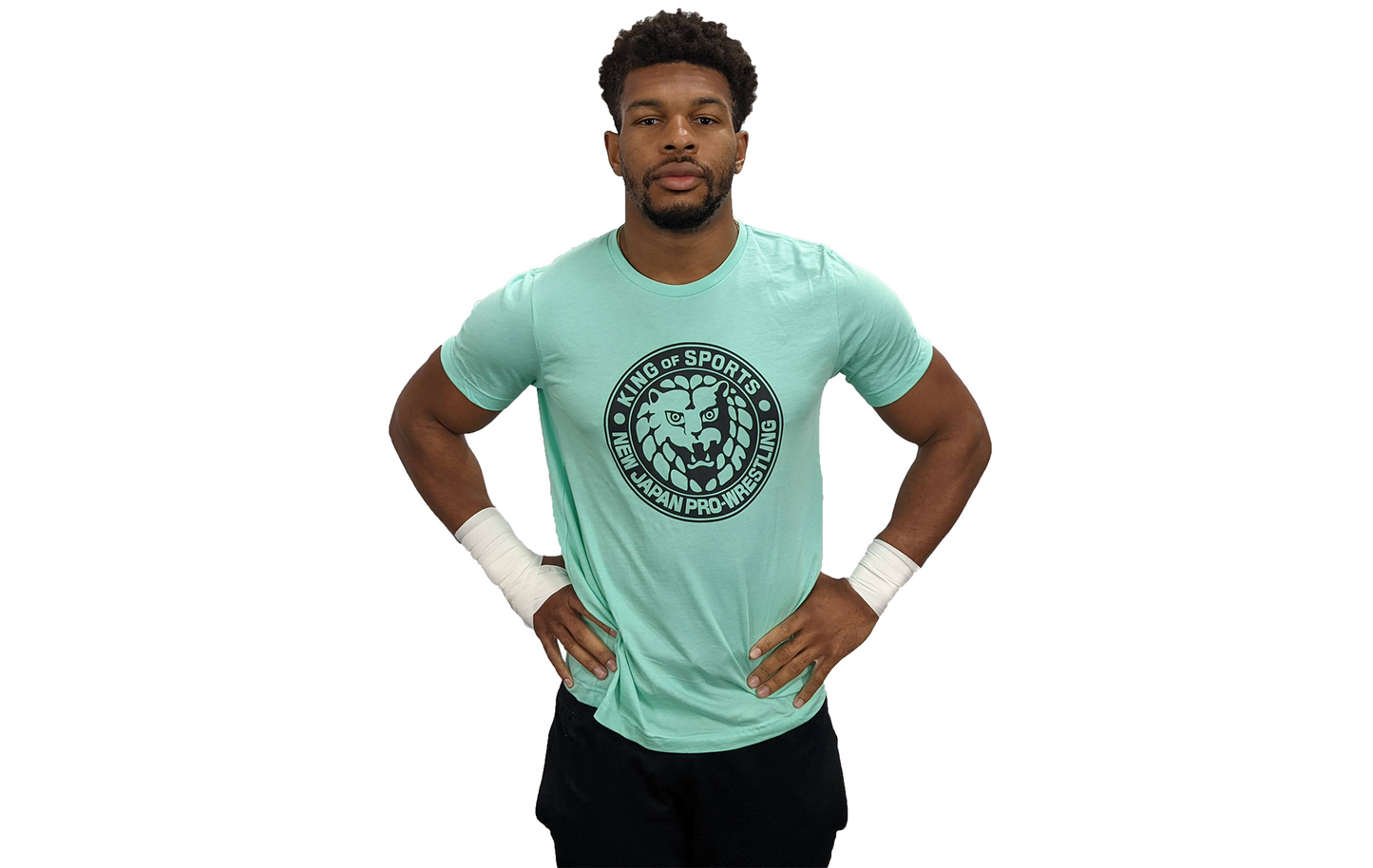 Choose your own color Lion Mark T-Shirt (Black Logo) T-Shirt PW Catalog