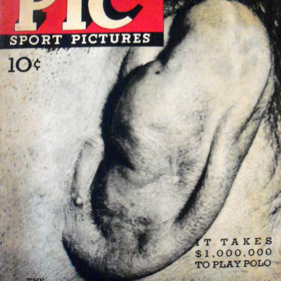 Pic Sport Pictures Magazine 1936 Magazine PWcatalog