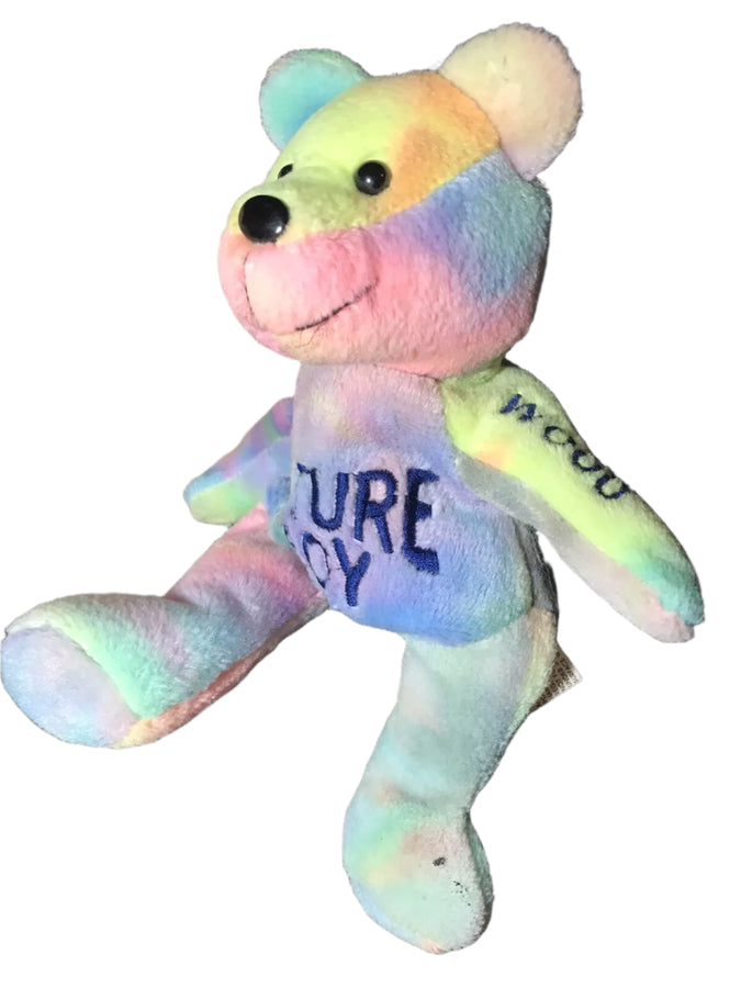 WCW Ric Flair Tie-Dyed Nitros Bears & Wolves 9" Beanie Bear 1999 by Racing Champions