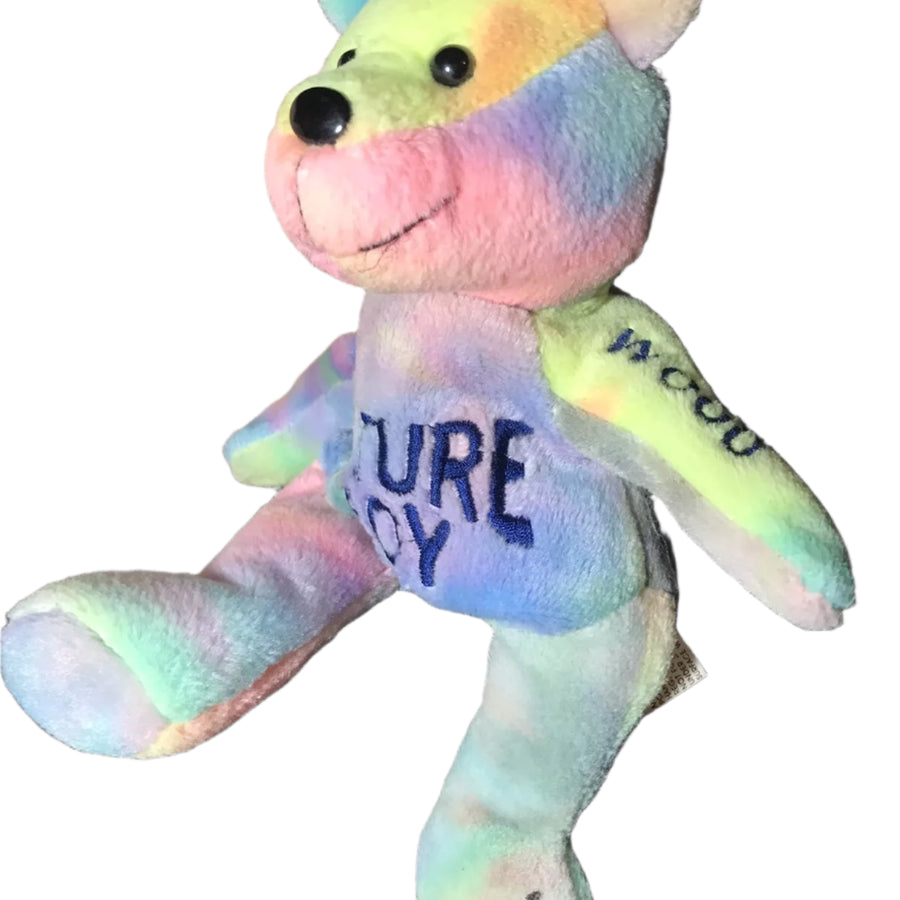 WCW Ric Flair Tie-Dyed Nitros Bears & Wolves 9" Beanie Bear 1999 by Racing Champions Pwcatalog