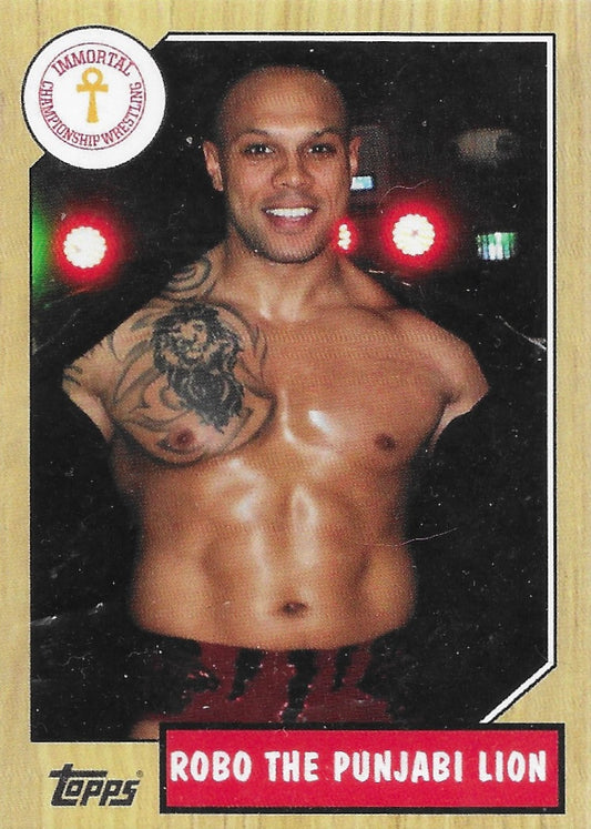 Robo the Punjabi Lion trading card PW Catalog