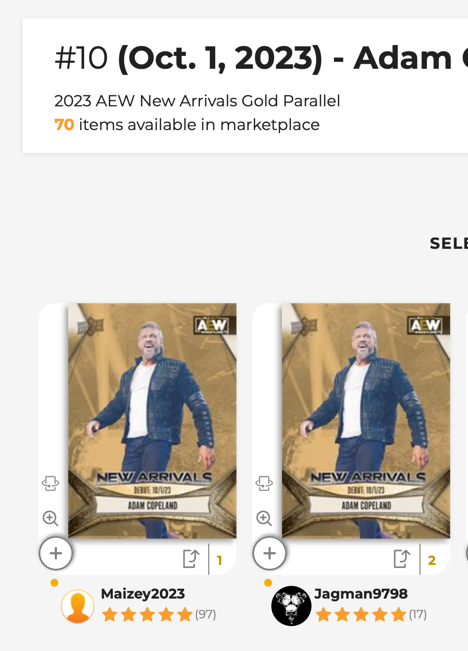RIC Flair