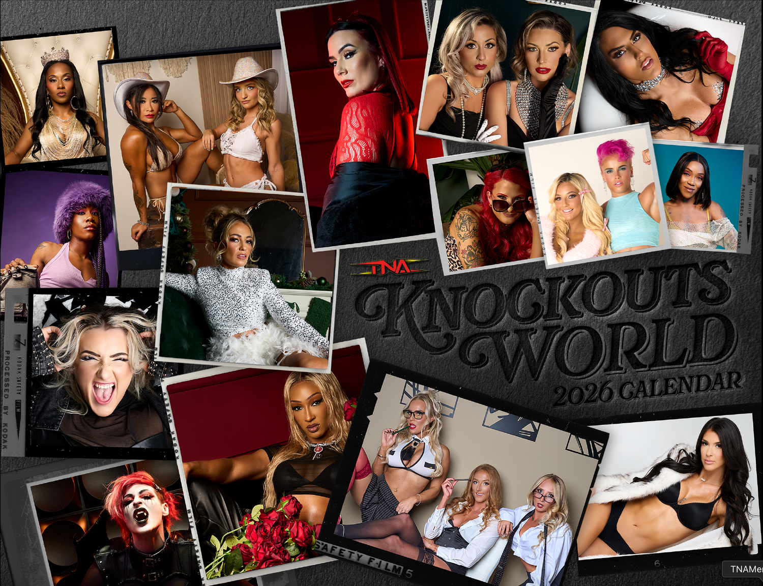 2026 TNA Knockouts World Calendar Calendar PW Catalog
