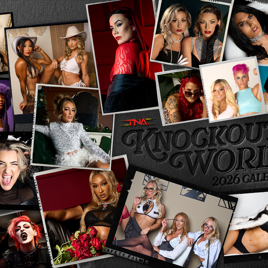 2026 TNA Knockouts World Calendar Calendar PW Catalog