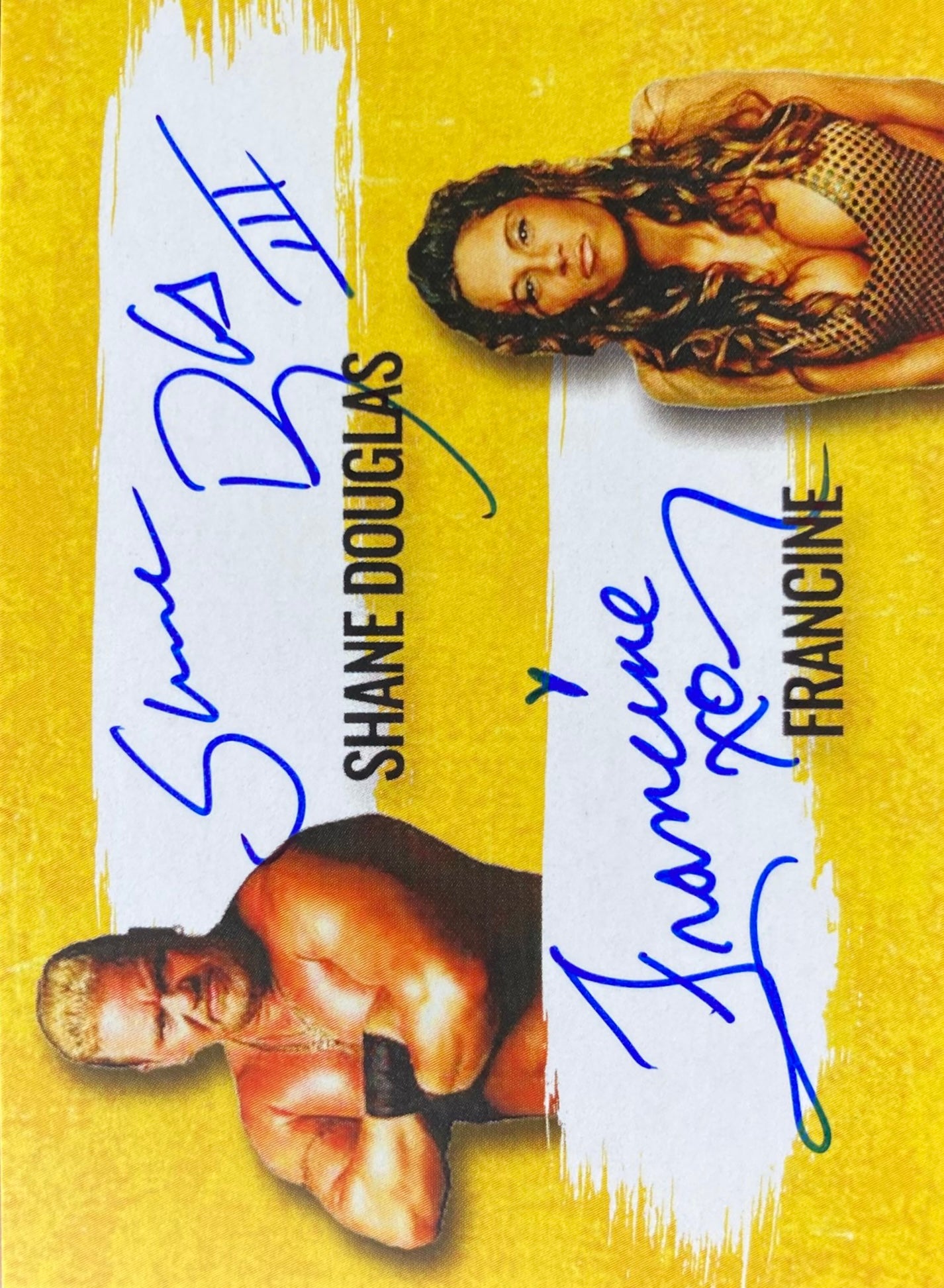 Shane Douglas / Francine