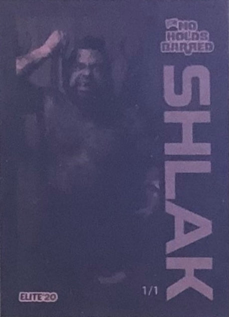Shlak