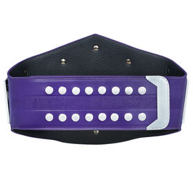 WWE Cruiserweight Championship Replica Title