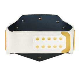 WWE SmackDown Women's Championship Replica Title