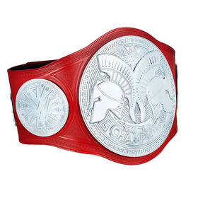 WWE RAW Tag Team Championship Replica Title