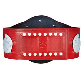 WWE RAW Tag Team Championship Replica Title
