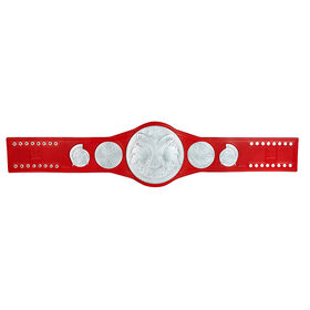 WWE RAW Tag Team Championship Replica Title