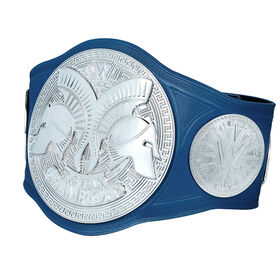 WWE SmackDown Tag Team Championship Replica Title