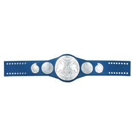 WWE SmackDown Tag Team Championship Replica Title