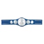 WWE Smackdown Tag Team Championship Commemorative Title