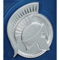 WWE Smackdown Tag Team Championship Commemorative Title
