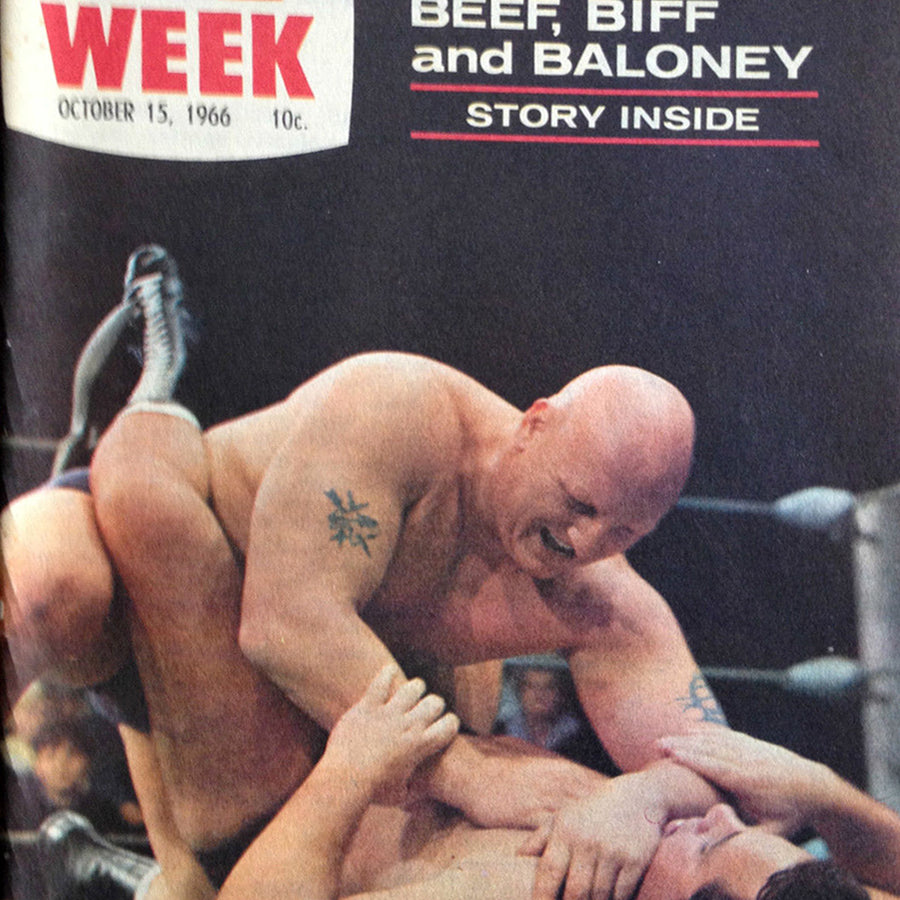 TV Week 1966 Magazine PWcatalog