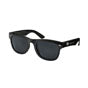 Seth Rollins "Kingslayer" Sunglasses
