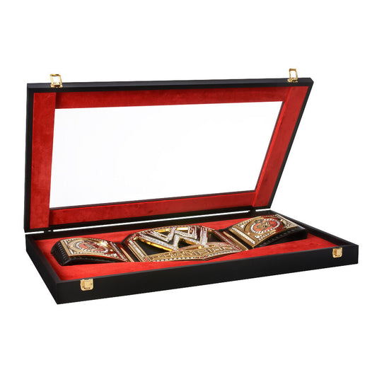 Replica WWE Championship Title Display Case PWcatalog