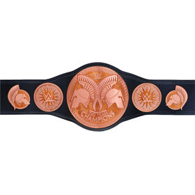 WWE Tag Team Championship Replica Title Belt (2014) PW Catalog