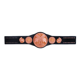 WWE Tag Team Championship Replica Title Belt (2014) PW Catalog