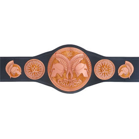 WWE Tag Team Championship Commemorative Title Belt (2014)