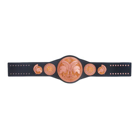 WWE Tag Team Championship Commemorative Title Belt (2014)