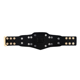 WWE Championship (2014) Mini Replica Title Belt
